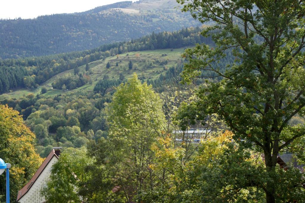 Hotel Restaurant Perle Des Vosges Muhlbach-sur-Munster Екстериор снимка